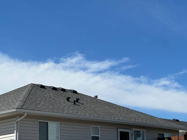 Best Roof Leak Repair  in Ramseur, NC